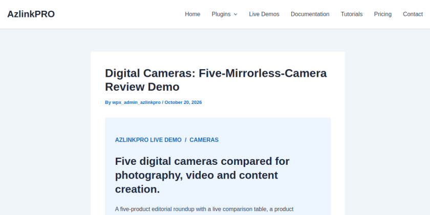 Actual preview screenshot of the digital cameras review page