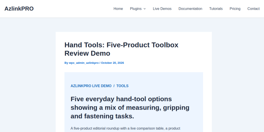 Actual preview screenshot of the hand tools review page